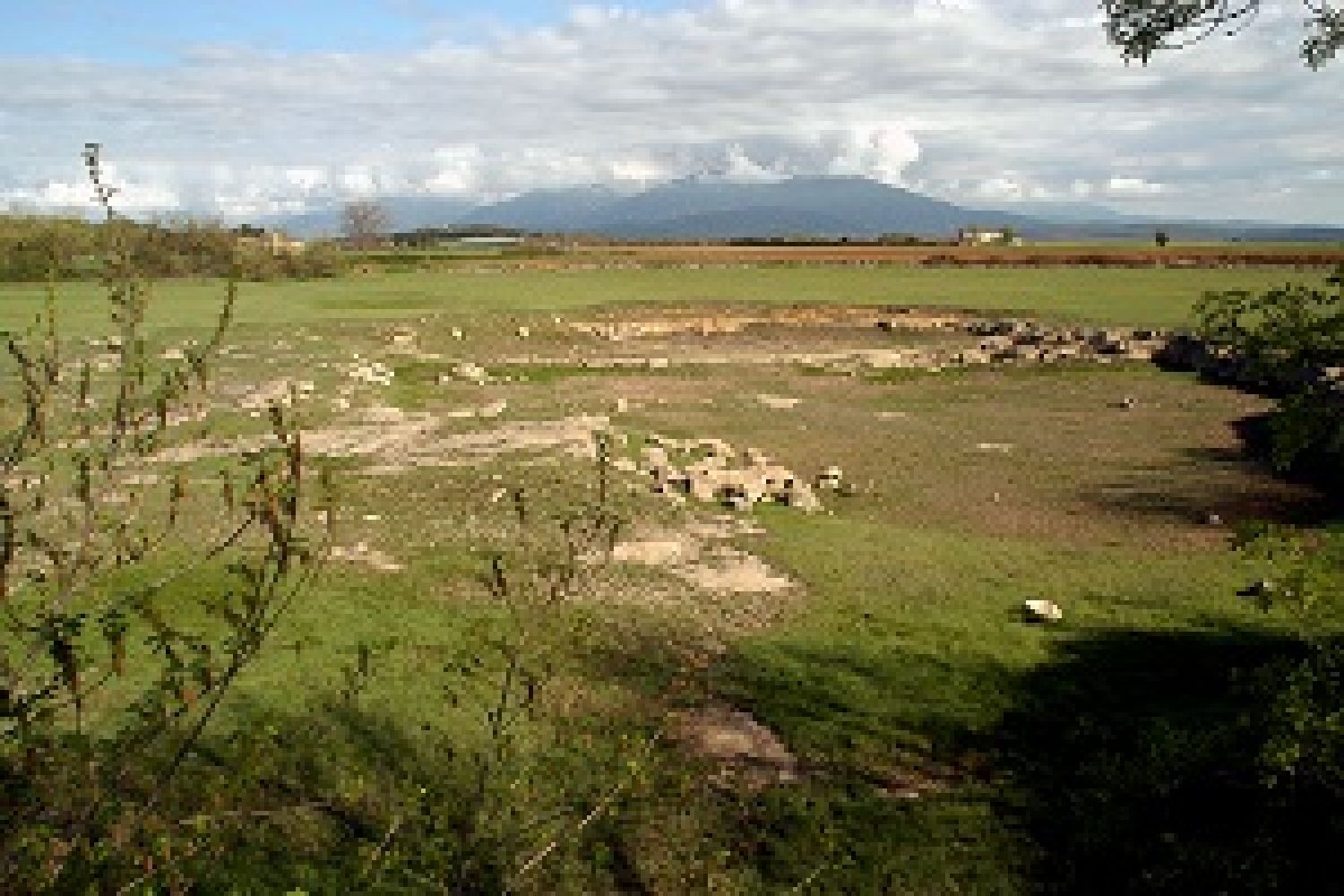 Ruta pel Pla de Martís: aigua, tríops i roques Ruta pel Pla de Martís: aigua, tríops i roques